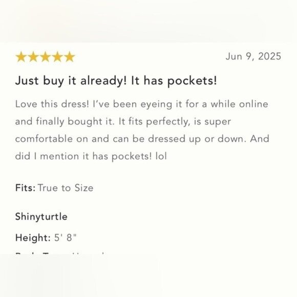 NWT Size L- Anthropologie The Somerset Maxi Dress: Halter Edition (NWT US$198) - Picture 5 of 14